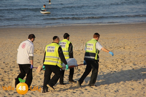 jotha northyaffa dolfan (3).JPG